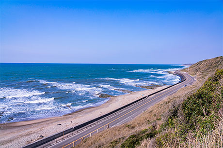 海岸線の風